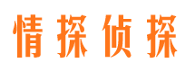 灵宝侦探公司